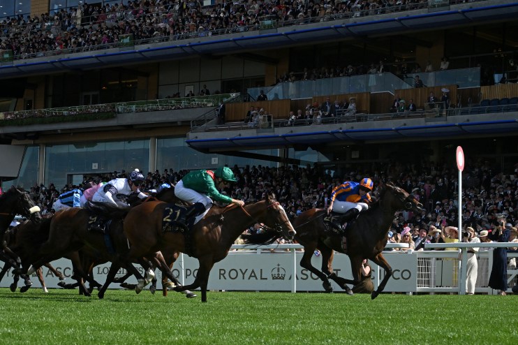 Rayevka can carry Nunthorpe back to France